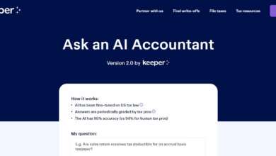 Explain the Ask an AI Accountant in 2024